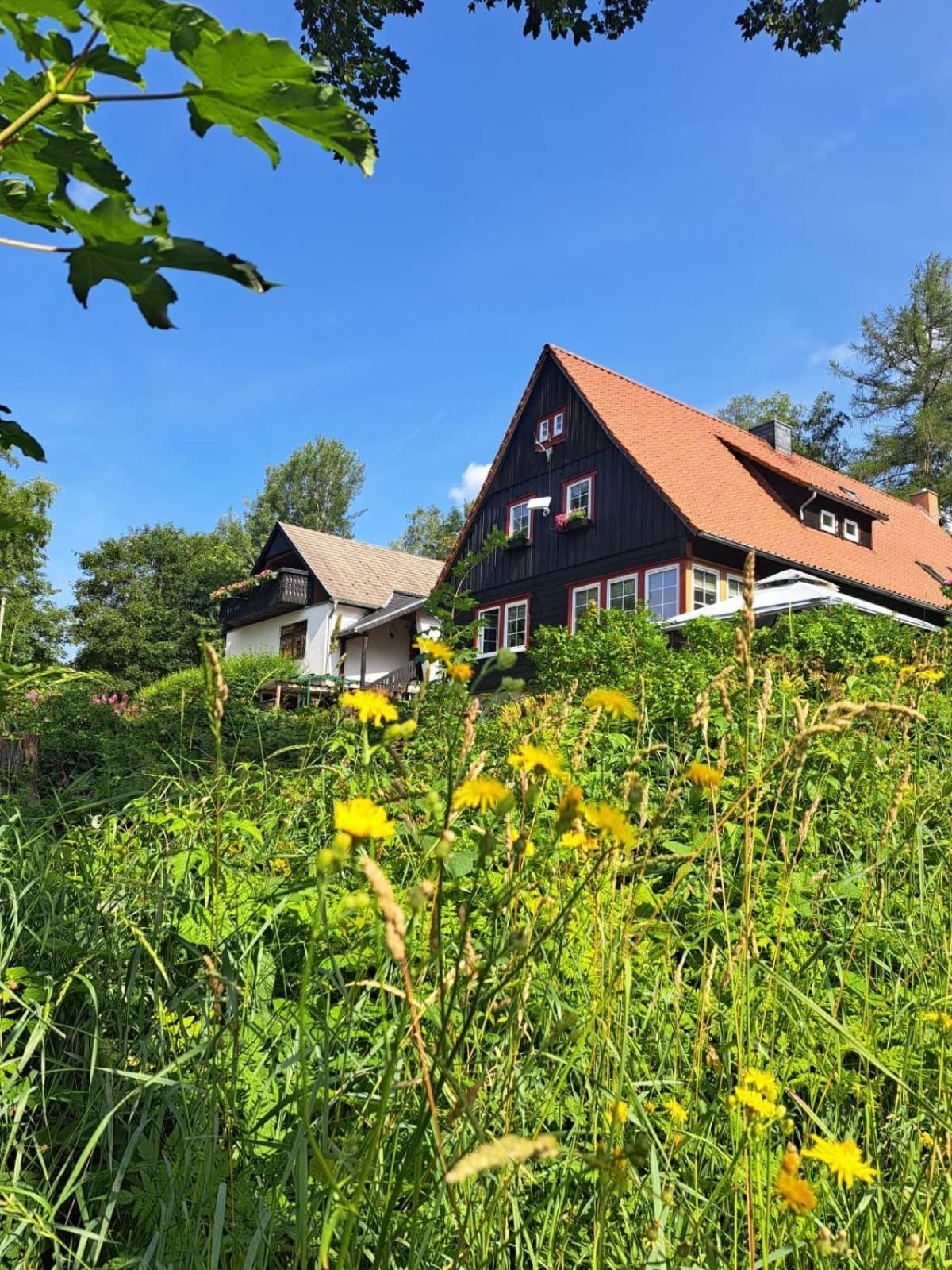 Haus Erna Schierke Apartment Exterior foto
