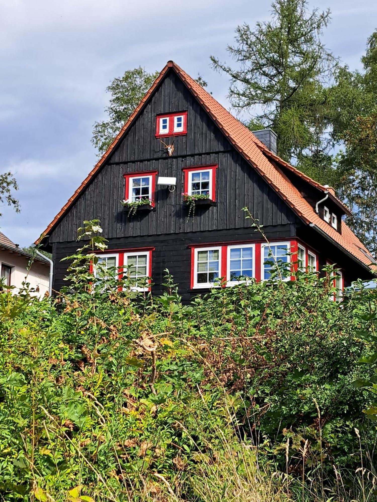 Haus Erna Schierke Apartment Exterior foto